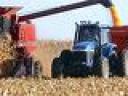 Grain for biofuel
